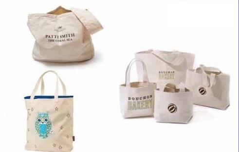 Túi vải bố (canvas)  - 12