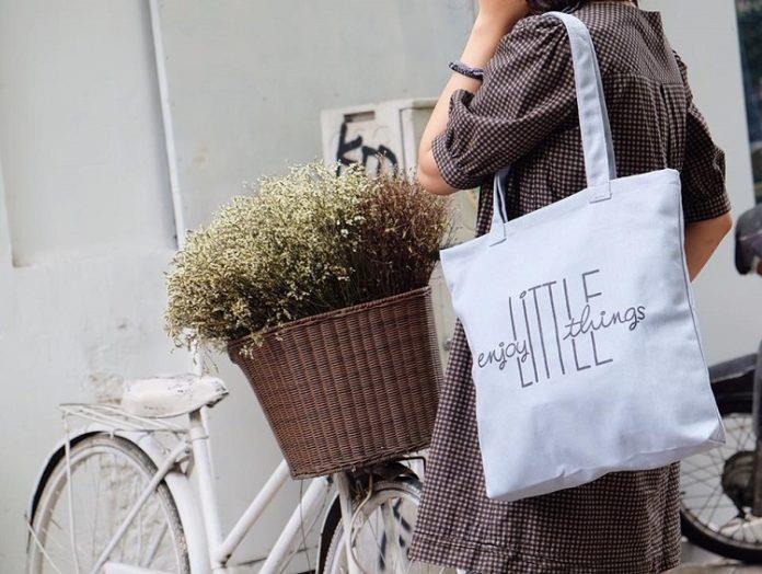 Túi vải bố canvas đẹp 37