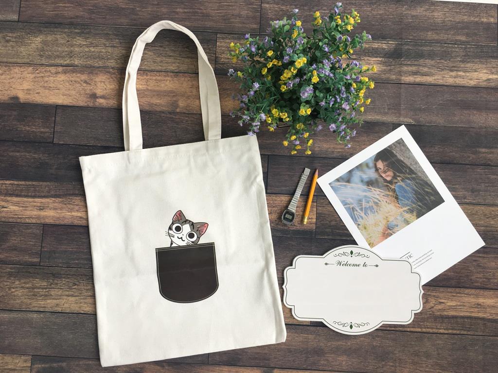 Túi vải bố canvas đẹp 39
